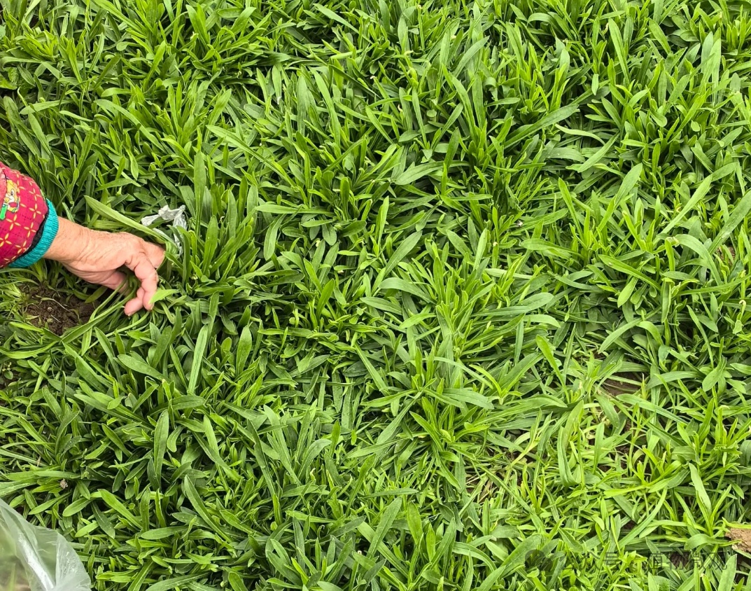 <a href=http://www.8881133.com target=_blank class=infotextkey>江西新東方烹飪學校</a>.jpg