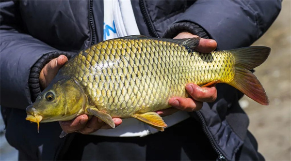 <a href=http://www.8881133.com target=_blank class=infotextkey>|WУ</a>.jpg