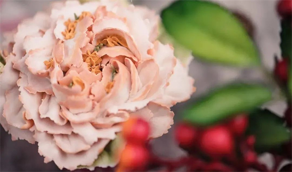 <a href=http://www.8881133.com target=_blank class=infotextkey>�����|����W(xu��)У</a>.jpg