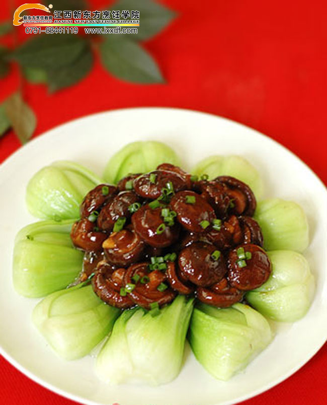 �ز�Ҳ���������㹽�ǲ��ġ�