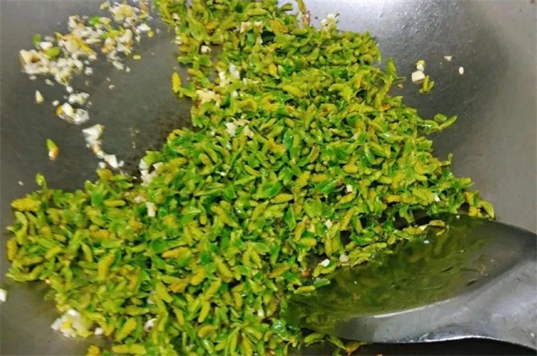 <a href=http://www.8881133.com target=_blank class=infotextkey>江西新東方烹飪學(xué)校</a>.jpg