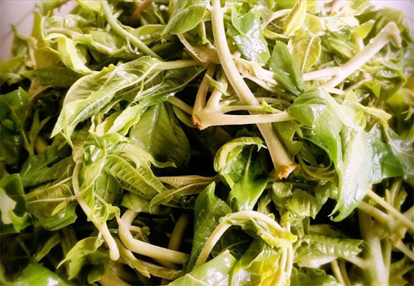 <a href=http://www.8881133.com target=_blank class=infotextkey>江西新東方烹飪學(xué)校</a>.jpg