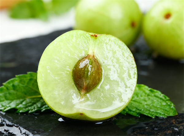 生成發(fā)芽土豆照片 (2).jpg