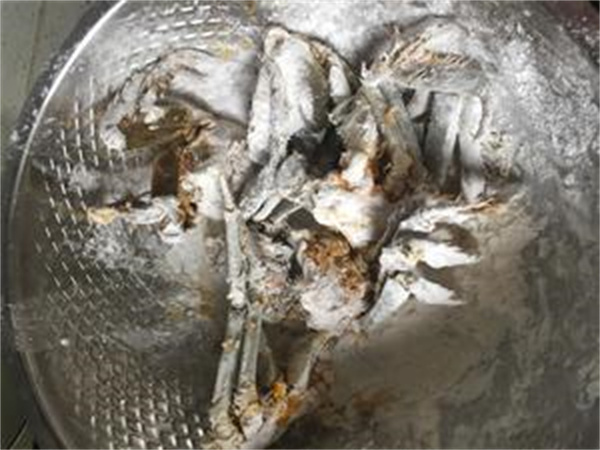 <a href=http://www.8881133.com target=_blank class=infotextkey>江西新東方烹飪學(xué)校</a>.jpg