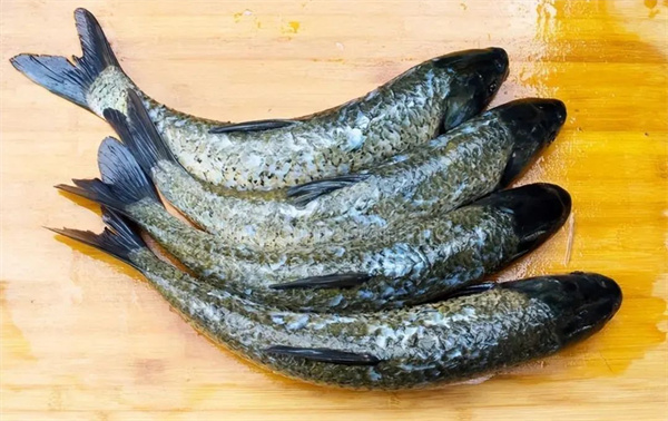 <a href=http://www.8881133.com target=_blank class=infotextkey>|WУ</a>.jpg