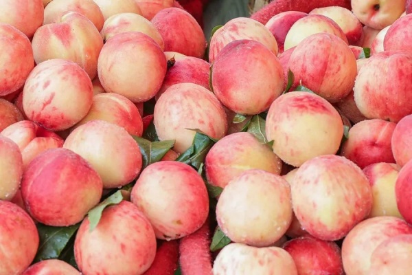 <a href=http://www.8881133.com target=_blank class=infotextkey>|W(xu)У</a>.jpg