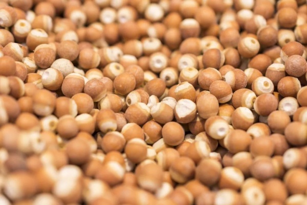 <a href=http://www.8881133.com target=_blank class=infotextkey>江西新東方烹飪學(xué)校</a>.jpg