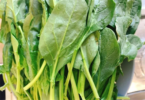 <a href=http://www.8881133.com target=_blank class=infotextkey>江西新東方烹飪學校</a>jpg