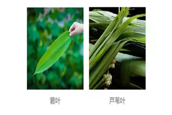 ���繝(ji��)�|�����������