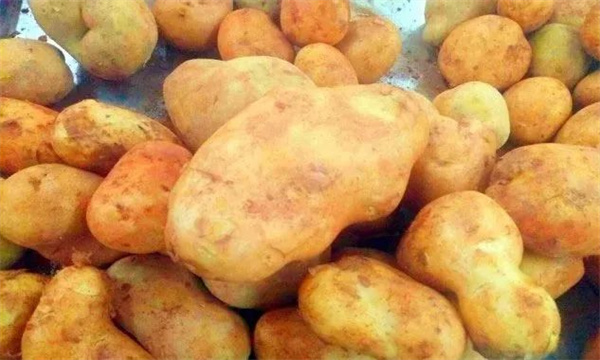 <a href=http://www.8881133.com target=_blank class=infotextkey>江西新東方烹飪學(xué)校</a>.jpg