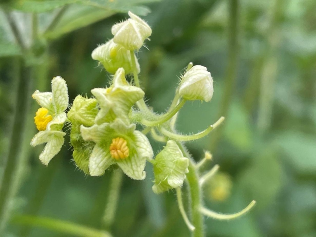 <a href=http://www.8881133.com target=_blank class=infotextkey>|WУ</a>.jpg