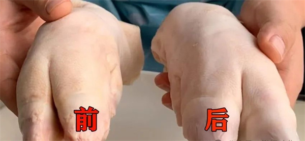 <a href=http://www.8881133.com target=_blank class=infotextkey>江西新東方烹飪學校</a>jpg