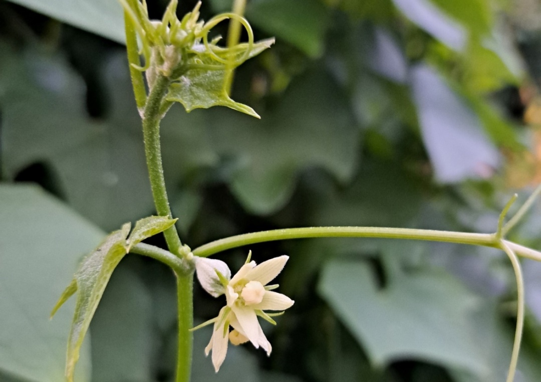 <a href=http://www.8881133.com target=_blank class=infotextkey>|WУ</a>.jpg