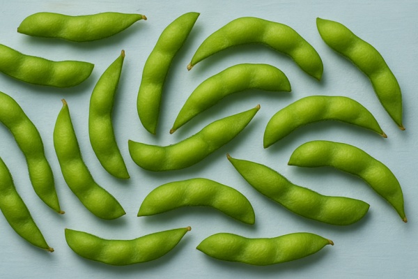 <a href=http://www.8881133.com target=_blank class=infotextkey>江西新東方烹飪學(xué)校</a>.jpg