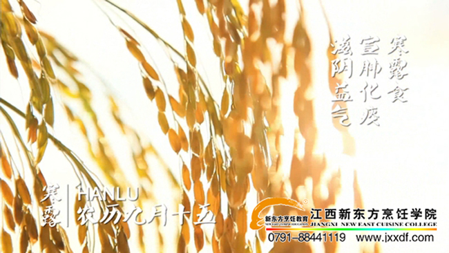 ����ϵĶ�ʮ�Ĺ�(ji��)��&mdash;&mdash;��¶