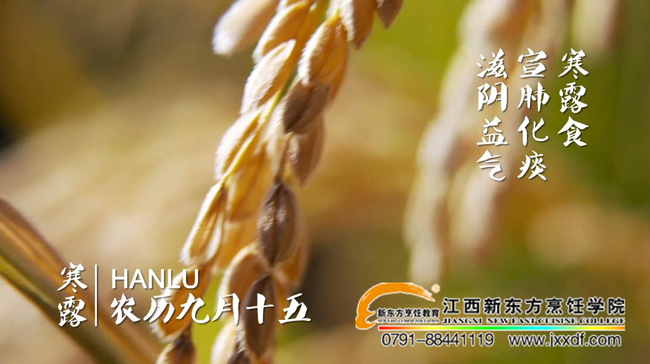 ����ϵĶ�ʮ�Ĺ�(ji��)��&mdash;&mdash;��¶