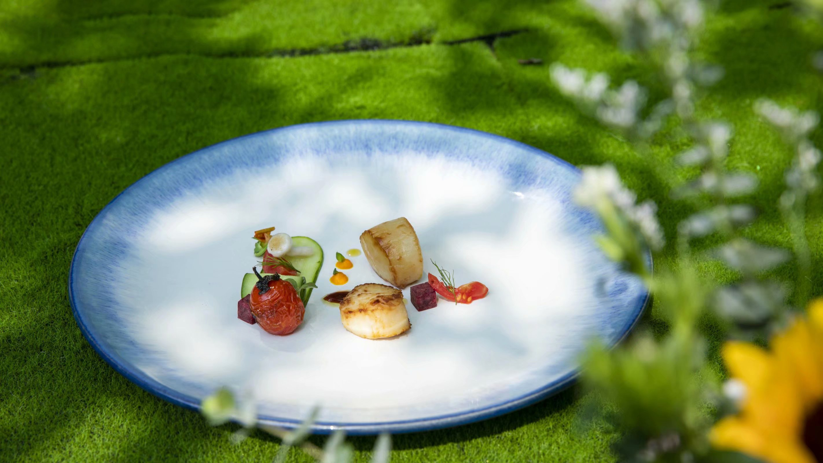 <a href=http://www.8881133.com target=_blank class=infotextkey>江西新東方烹飪學校</a>.jpg