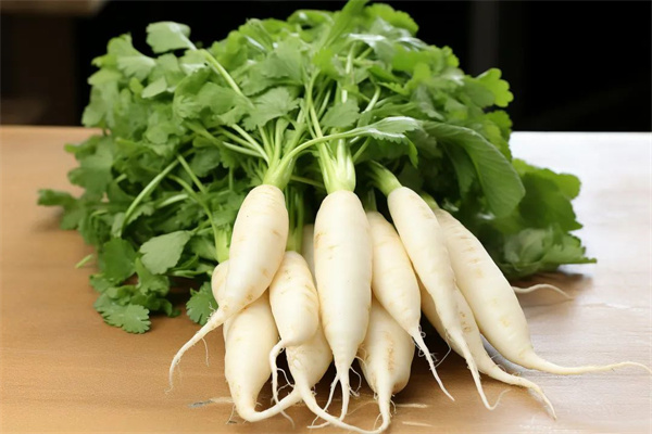 <a href=http://www.8881133.com target=_blank class=infotextkey>江西新東方烹飪學校</a>.jpg