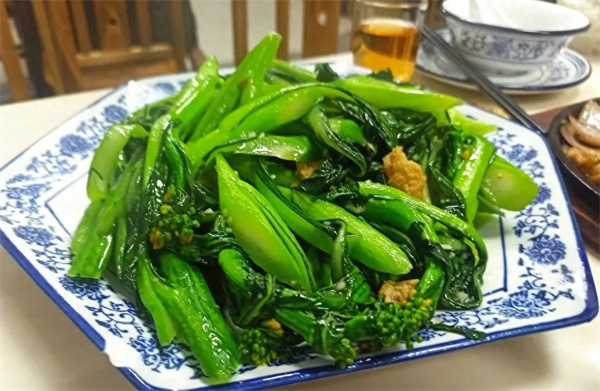 <a href=http://www.8881133.com target=_blank class=infotextkey>江西新東方烹飪學(xué)院</a>.jpg