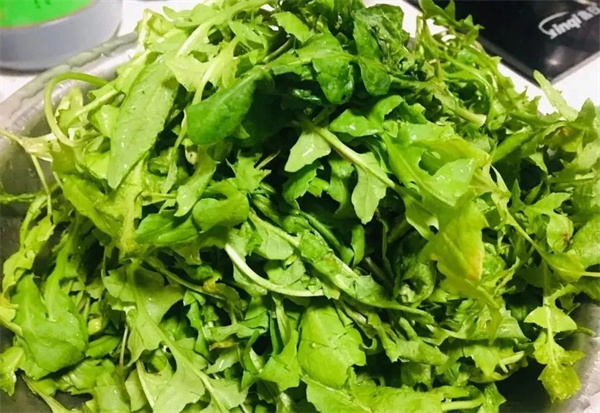 <a href=http://www.8881133.com target=_blank class=infotextkey>江西新東方烹飪學(xué)校</a>.jpg