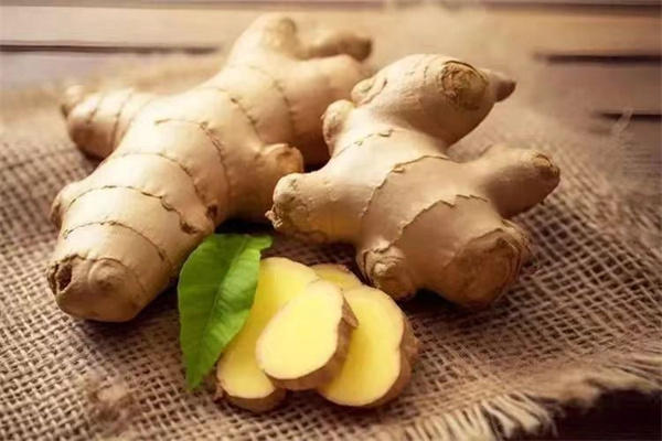 <a href=http://www.8881133.com target=_blank class=infotextkey>江西新東方烹飪學(xué)校</a>