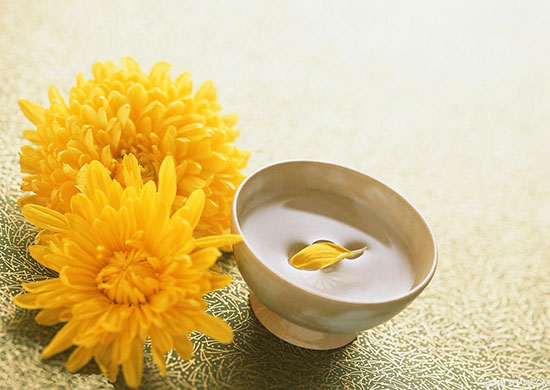 <a href=http://www.8881133.com target=_blank class=infotextkey>江西新東方烹飪學(xué)校</a>.jpg