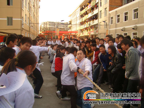 拔河比賽精彩瞬間