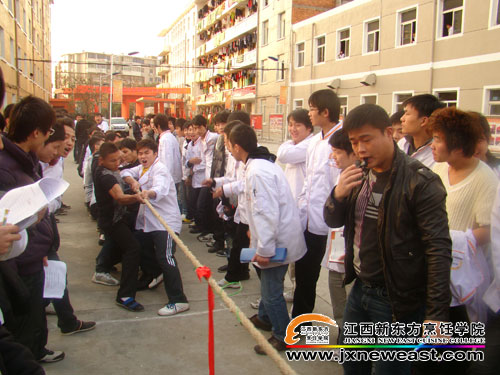 拔河比賽精彩瞬間